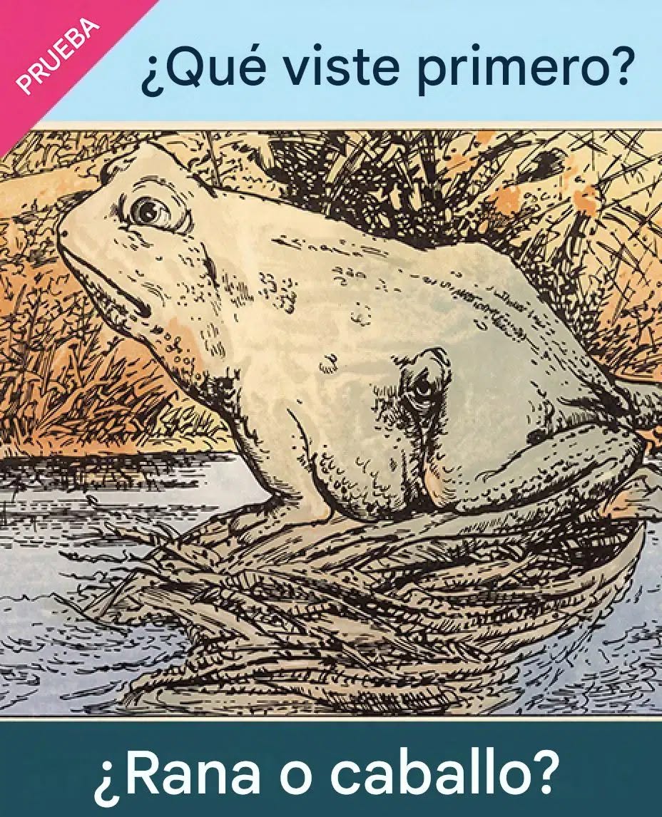 A veces, una imagen no es solo algo que miramos… también es un reflejo de nosotros mismos. 👀✨ Hay días en que vemos una cosa primero, y otros en que nuestra perspectiva cambia. Por eso este test es tan interesante: lo primero que ves puede indicar qué energía está más activa en ti hoy. 🌿 Mira la imagen y elige la primera forma que aparezca. ¿Viste primero la rana? 🐸 ¿O el caballo? 🐴