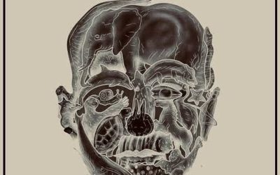 El curioso test visual que promete revelar tu ‘peor defecto’ según el primer animal que veas