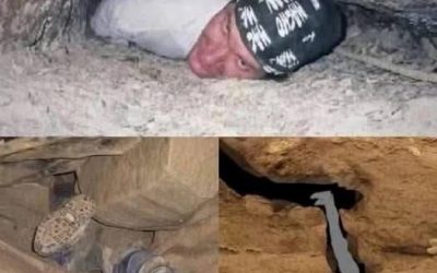 Lo encontraron y trataron de probarlo, pero... Ver más
